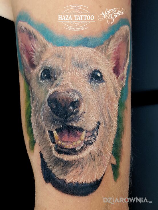 Tatuaż pies tatuaż kolor w motywie 3D i stylu realistyczne na barku