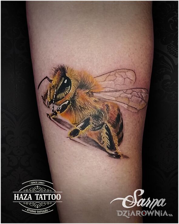 Tatuaż pszczoła tatuaż kolor w motywie kolorowe i stylu realistyczne na klatce