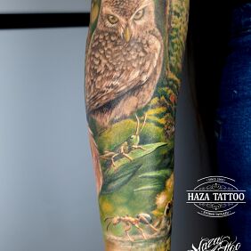 Tattoo Owl forest tattoo on the forearm motif: colorful style: realistic