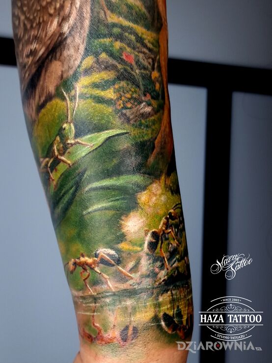 Tatuaż las mrówki tatuaż w motywie owady i stylu realistyczne na przedramieniu