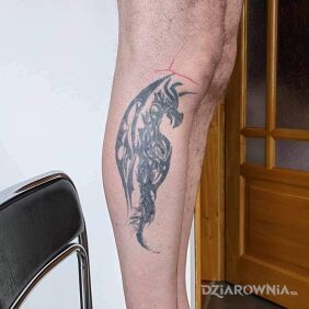 Tatuaż Cover na łydce motyw: czarno-szare styl: tribale