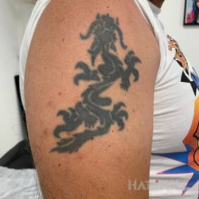 Tattoo Cover on the upper arm motif: black and gray style: blackwork / blackout