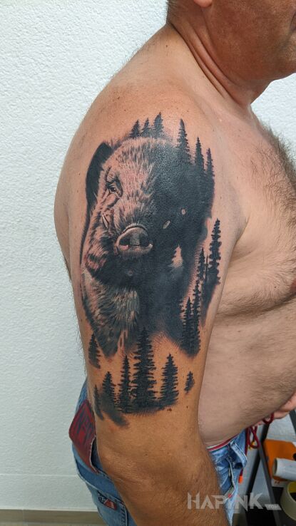 Tattoo Cover salamandry in animals motif and realistic style On the arm