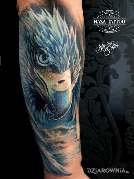 Tatuaż orzeł kolor tatuaż w motywie kolorowe i stylu realistyczne na przedramieniu