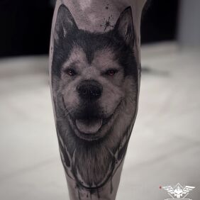 Tatuaż Alaskan malamute na łydce motyw: zwierzęta styl: realistyczne