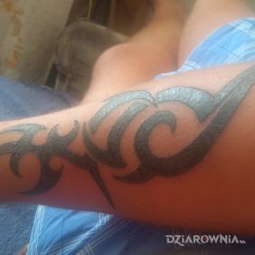 Tatuaż Dziara na przedramieniu styl: tribale