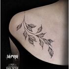 Gałązka liście tatuaż
