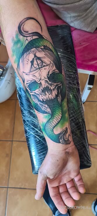 Tatuaż tattoo skull tattoo snake  tattoo harry potter watercolour w motywie czaszki i stylu surrealistyczne na przedramieniu