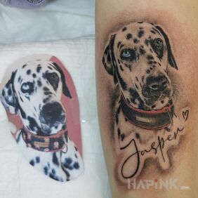 Tattoo Dalmatian on the forearm motif: black and gray style: realistic