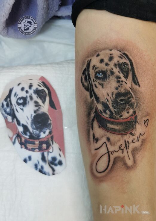 Tattoo Dalmatyńczyk in animals motif and realistic style On the arm