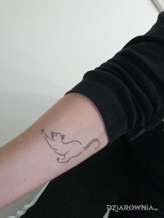 Tatuaż minimalistyczny kotek w motywie zwierzęta i stylu minimalistyczne na przedramieniu