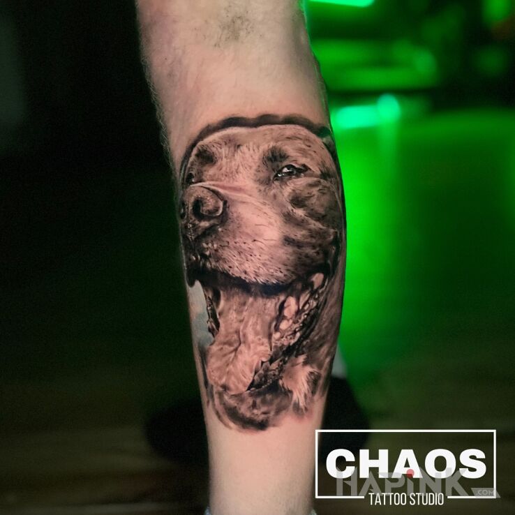 Tattoo Tatuaż psa Amstaff in black and gray motif and realistic style on the leg