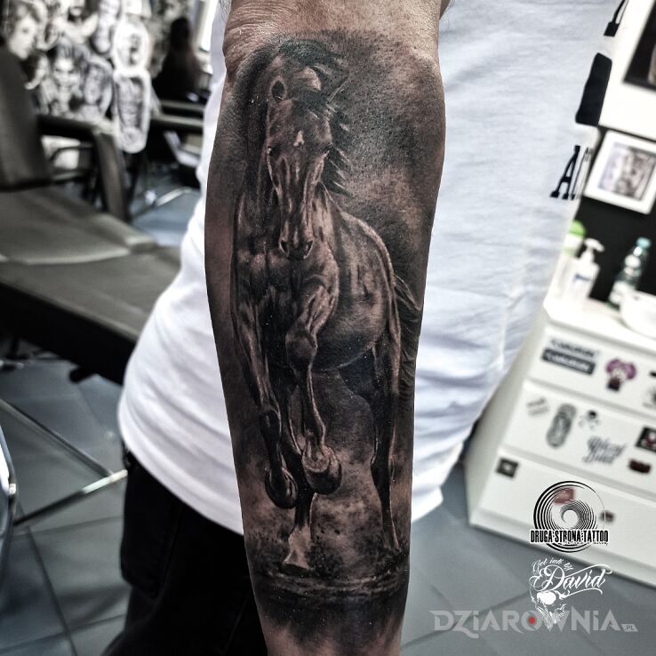 Tatuaż z zamiłowania do koni w motywie zwierzęta i stylu realistyczne na przedramieniu