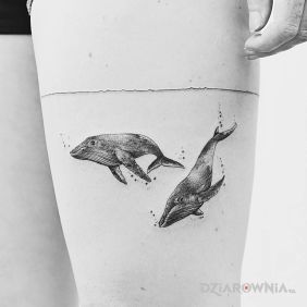 Tatuaż Dwa wieloryby na nodze motyw: zwierzęta