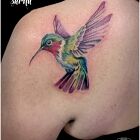 Ptak kolorowy tatuaż