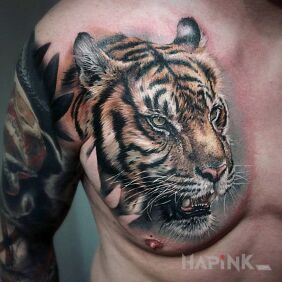 Tattoo Tiger on the chest motif: 3D style: realistic