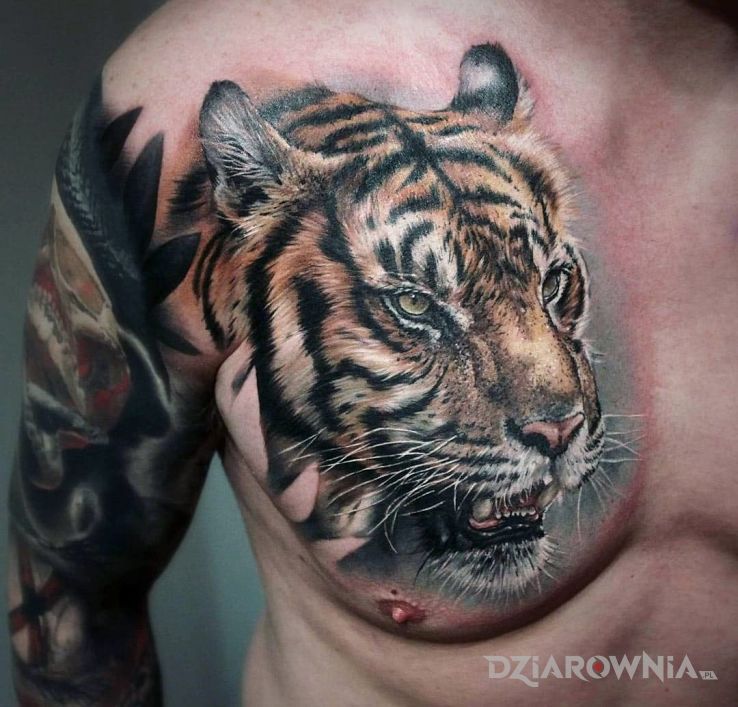 Tatuaż tiger w motywie 3D i stylu realistyczne na klatce