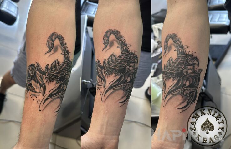 Tattoo Skorpion zamknięty krąg in black and gray motif and realistic style On the arm