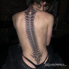 Tatuaż Wytatuowany kręgosłup na plecach motyw: czarno-szare styl: neo tribal
