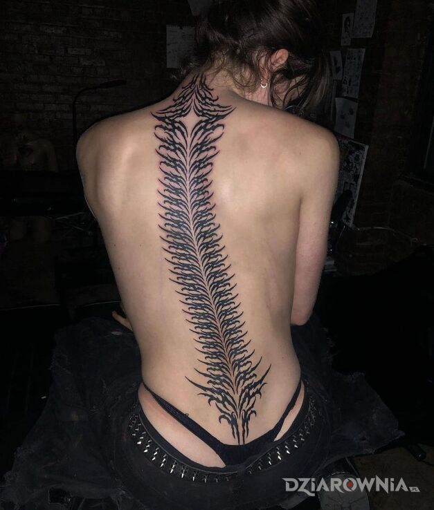 Tatuaż wytatuowany kręgosłup w motywie czarno-szare i stylu neo tribal na plecach