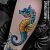 seahorse