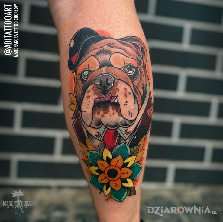 Tatuaż bulldog w motywie zwierzęta i stylu neotradycyjne na łydce