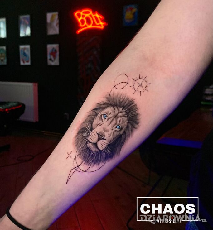 Tatuaż mini lew kobiecy chaos tattoo poznań w motywie czarno-szare i stylu graficzne / ilustracyjne na przedramieniu