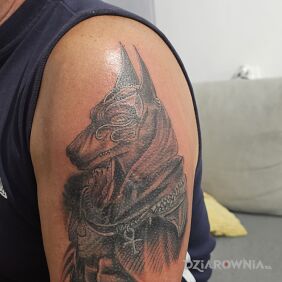 Tatuaż Anubis na ramieniu motyw: religijne styl: graficzne / ilustracyjne