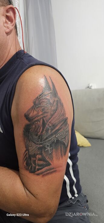 Tatuaż anubis w motywie cover up na ramieniu