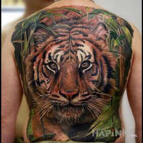 Tattoo Tiger on the back motif: animals style: realistic