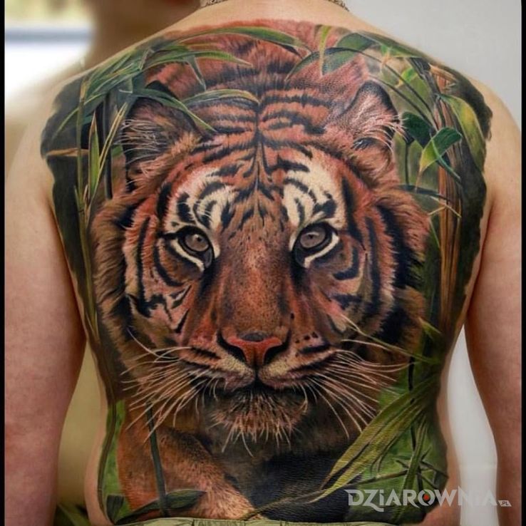Tatuaż tygrys w motywie zwierzęta i stylu realistyczne na plecach