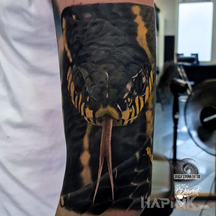 Tattoo Wąż :D in 3D motif and realistic style on the forearm