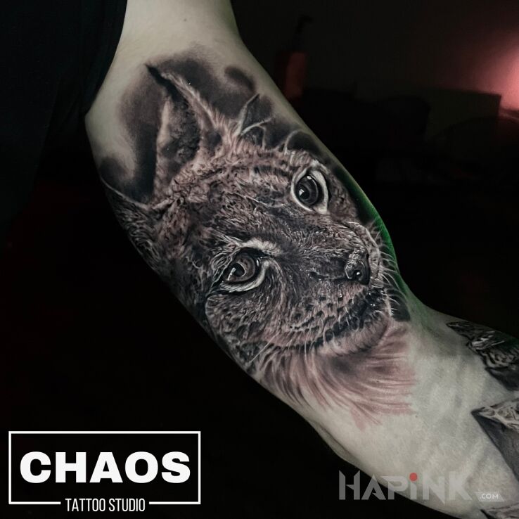 Tattoo Ryś in 3D motif and realistic style on the bicep