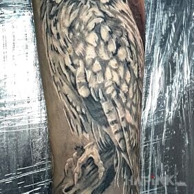 Tattoo Owl :) on the forearm motif: animals style: realistic