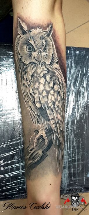 Tatuaż sowa w motywie 3D i stylu realistyczne na przedramieniu