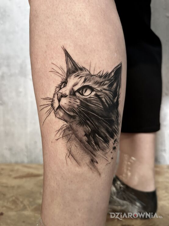 Tatuaż kicia kocia w motywie zwierzęta i stylu kontury / linework na łydce
