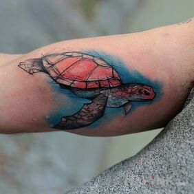 Tattoo Zolw on the upper arm motif: animals