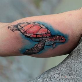Tatuaż Zolw na ramieniu motyw: zwierzęta
