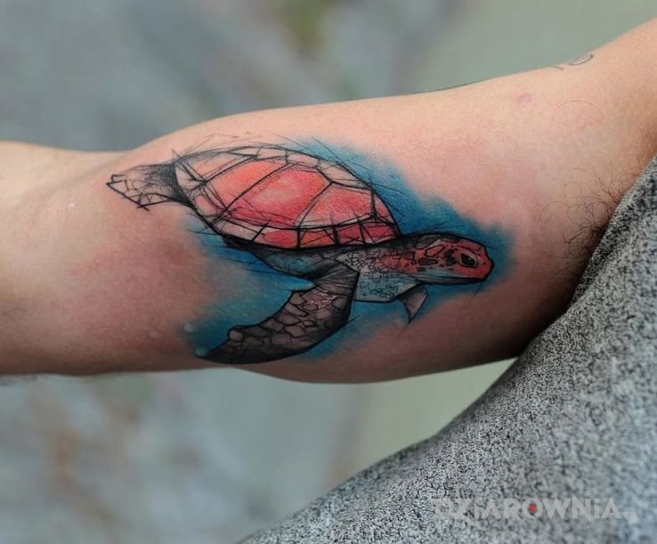 Tatuaż zolw w motywie zwierzęta na ramieniu