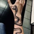 Wycena tatuażu - Wycena 3 tatuaży - węży i pająka