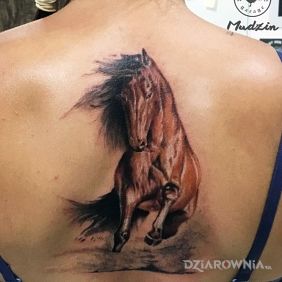 Tatuaż Koń na plecach motyw: zwierzęta styl: realistyczne