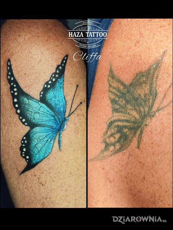 Tatuaż motyl cover tatuaż w motywie owady i stylu realistyczne na bicepsie