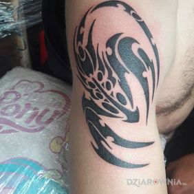 Tatuaż Skorpion na ramieniu styl: tribale