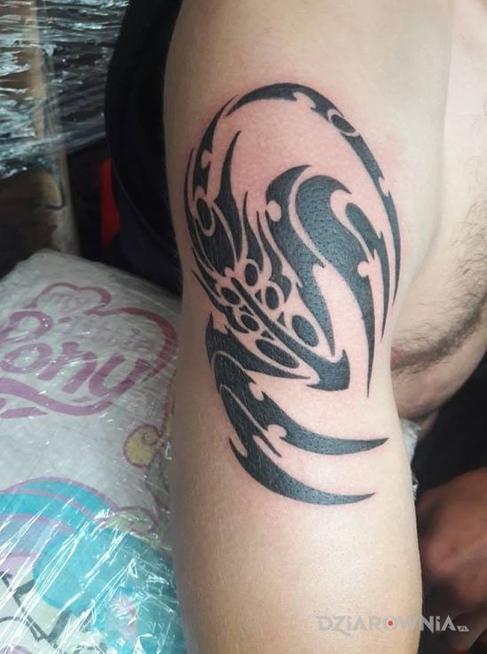 Tatuaż skorpion w stylu tribale na ramieniu