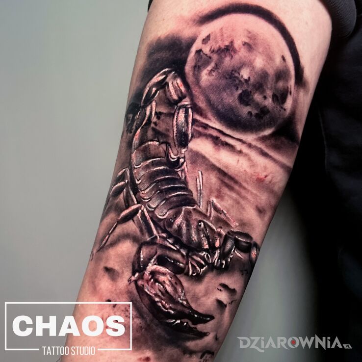 Tatuaż scorpio moon chaos poznań w motywie czarno-szare i stylu realistyczne na przedramieniu