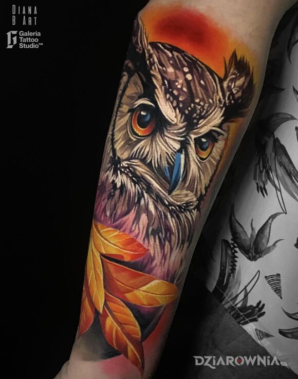 Tatuaż realistyczna sowa w motywie natura i stylu realistyczne na ręce