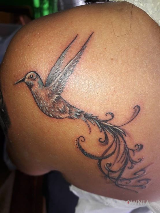 Tatuaż koliberek w motywie zwierzęta na łopatkach