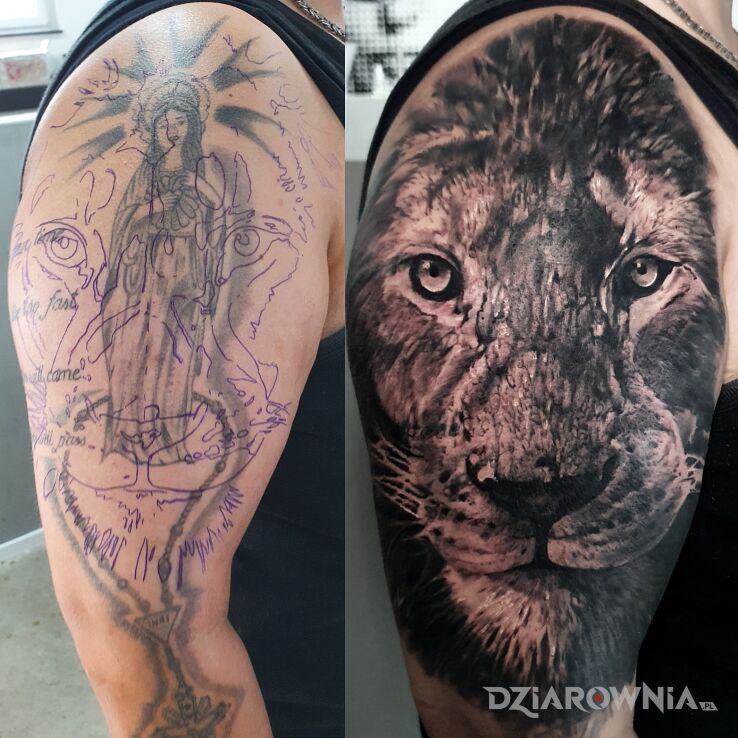 Tatuaż lew cover up w motywie natura i stylu realistyczne na barku