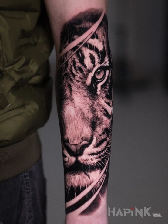 Tattoo Tatuaż tygrysa na przedramieniu in black and gray motif and realistic style On the arm