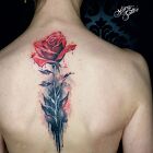 Róża cover tatuaż
